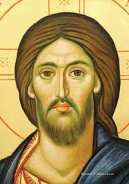 Weekly Update from the Pastor