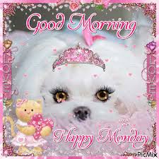 100+ beautiful good morning gifs. Puppy Animated Gif Puppy Valentines Gif Novocom Top