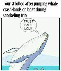 Saw News Thought Of This Meme By Capnwiggles Memedroid