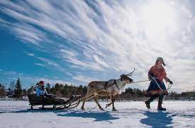 8 best places to see the northern lights in lapland. Winterreise Nach Finnisch Lappland Winterabenteuer In Yllas Und Levi Black Dots White Spots