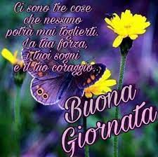 Quadrifogli bianchi, fiori e farfalle. Buona Giornata Buongiorno Fiori Farfalle Flowers Butterfly Viola Dediche Citazioni Frasi Buongiorno Immagini Buongiorno Citazioni Buongiorno
