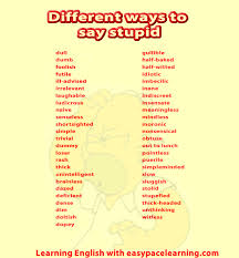 Stupid How To Say Stupid Different Learning English Words