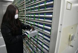 Seeds in seed banks are stored at a constant low temperate and moisture to guard them against the loss of genetic properties. Seeds Of 5k Wild Plant Species Are Kept Hidden In A South Korean Mountain Tunnel The Economic Times