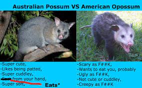 Check spelling or type a new query. Australia Wins Imgur
