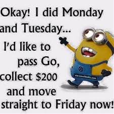 We've found anything funny, popular or viral to share here with you. 50 Amazing Tuesday Morning Funny Quotes Images