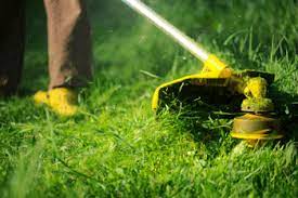 Maybe you would like to learn more about one of these? Home Bothell Wa Davy D S Yard Maintenance