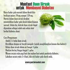 Pin Oleh Nugrahaeni Primasari Di Tips Health Trick Obat Alami Kesehatan Alami Herba