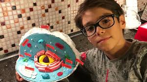 How To Create 3d Plant Cell And Animal Cell Models For Science Class Owlcation