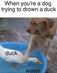 21 Hilarious Funny Memes To Make You Happy Funny Memes Sarcastic Relatable Meme Memes Sarcastic