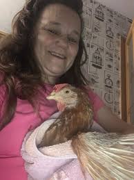 Chicken Coop Ideas & Everything Backyard Chicken