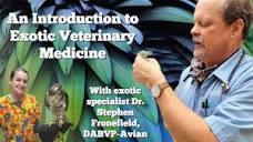 Exotic vet med 101: Why is it more expensive?? - YouTube
