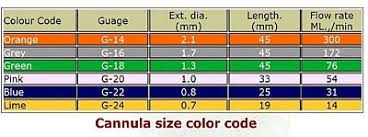 iv needle size and color nursing skills guide iv cannula