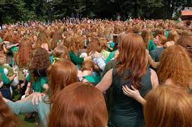Why Do People Think All Redheads Are Irish Ginger Parrot