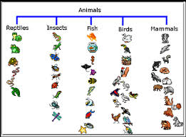 Animals Tree Map For Kidpix Site Has Other Mind Map Samples
