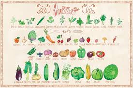 Calendrier De Juillet Fruits Et Legumes Fruits Et Legumes De Saison Legumes De Saison