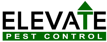 Your first treatment should be followed with a few it should be checked every year.those things can do damage in a hurry.many pest control services will do a free inspection,just make sure they are. How Often Should Pest Control Companies Spray