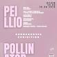 Arddangosfa | Exhibition: PEILLIO | POLLINATOR — CARN