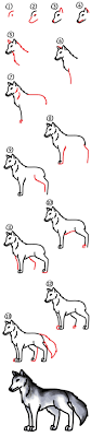 How To Draw A Realistic Wolf Art For Kids Hub Wolf Drawing Art For Kids Hub Wolf Art