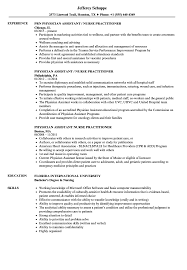 Physician Assistant Nurse Practitioner Resume Samples