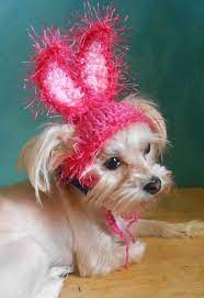 Hot Pink Dog Easter Bunny Ears Bunny Hat For Cat Pet Bunny Easter Bunny Ears Pet Bunny Hat For Cat