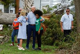 Image result for Bidens diversa