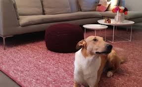 Knüpfen sie zum beispiel berberteppiche. Teppich Mit Haustieren Tisca Tisca