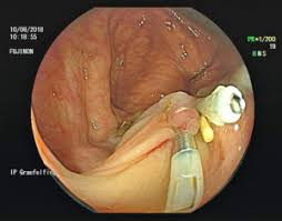 Ip Internistische Praxis Grafelfing