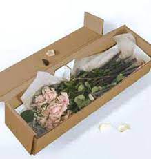 We did not find results for: The Boxed Flowers Difference