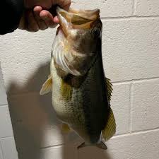 Bait Kandy Home Facebook