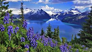 Pin On Nature