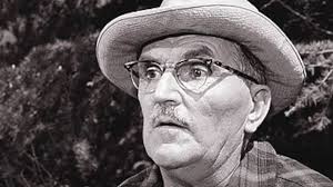 The life of Howard McNear, famous for the role of Floyd the Barber