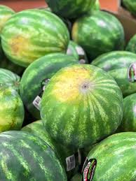 How many people never had a extra sweet and perfectly ripe honeydew that almost gave them diabetes? How To Pick A Good Watermelon Check The Field Spot