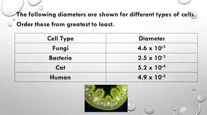 Cells are the smallest units of life. Scientific Notation Problem Solving Lesson Four And Five Ppt Download