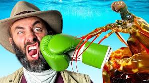 EATEN ALIVE by a Bobbit Worm!