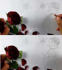 Puis lorsque tu as tracé cette toile d'araignée il faut en faire autant sur ta feuille de dessin. Comment Dessiner Une Rose Tuto Pas A Pas Blog Le Dessin