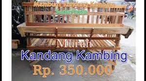 Perawatan kandang perlu anda lakukan dengan cara membersihkan kandang secara rutin, mulai dari lantai kandang. Proses Pembuatan Kandang Kambing