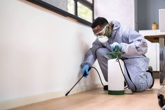 Rodent Proofing
