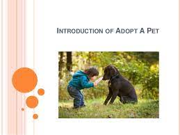 Join us in creating a future where every pet is safe, respected and loved. Introduction Of Adopt A Pet East Dallas Pet Rescue