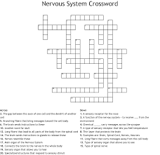 Maybe you would like to learn more about one of these? Nervous System Crossword Wordmint