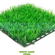 Maybe you would like to learn more about one of these? Bahan Hiasan Rumput Hiasan Dinding Tembok Pohon Hias Untuk Toko Kios Tempat Usaha Shopee Indonesia