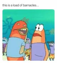 More this is a load of barnacles products. 25 Best This Is A Load Of Barnacles Memes Gif Memes Spongebob Memes Imgur Memes