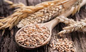 It is good for regular digestive and waste elimination. How To Grow And Harvest Grains In Your Backyard Modern Farmer