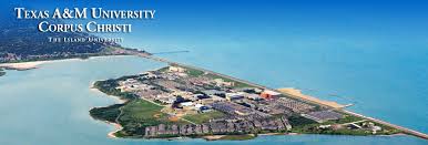 This free college acceptance calculator plots your test scores and gpa against other. Texas A M University Corpus Christi The Island University