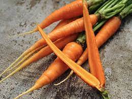 Danvers 126 Half Long Carrot Carrots Variety Food Seeds