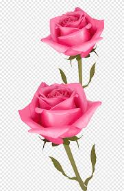 النَّقْز والنَّقَزانِ كالوَثْبِ والوَثَبانِ صعداً في مكان واحد. ØµÙˆØ± ÙˆØ±ÙˆØ¯ Ø¨Ø§Ù„ÙŠØ¯ ÙƒÙˆÙ†ØªÙ†Øª