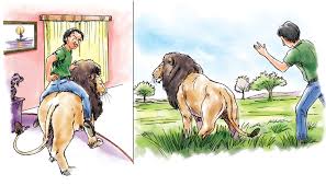 Above all, it'll cost you quite a lot of money and effort to . Animals As Pets At Home Or Free In The Wild The Himalayan Times Nepal S No 1 English Daily Newspaper Nepal News Latest Politics Business World Sports Entertainment Travel Life Style News