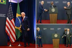 Image result for Bidens flagellata