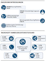 In einem aufgelassenen weinkeller in walterskichen, einer katastralgemeinde von poysdorf, wurden nach polizeiangaben vom mittwoch von. Https Www Bka De Shareddocs Downloads De Publikationen Jahresberichteundlagebilder Rauschgiftkriminalitaet 2018rauschgiftbundeslagebildz Pdf Blob Publicationfile V 2