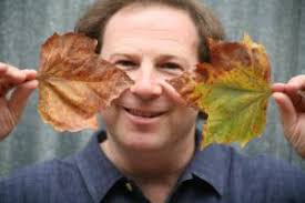 Origami Odyssey: A Journey to the Edge of Paperfolding: Includes Origami  Book with 21 Original Projects & Instructional DVD: Engel, Peter, Correa-Mehrotra,  Nondita: 9780804841191: Amazon.com: Books