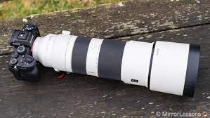 The Best Mirrorless Cameras For Birds In Flight Ranked Mirrorless Comparison